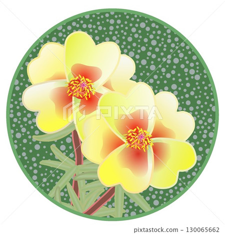 Illustration of a pine needle peony with a circular background Illustration of a pine needle peony with a circular background 130065662