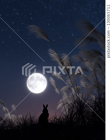 一隻兔子站在滿月和紫芒下的剪影 130065711