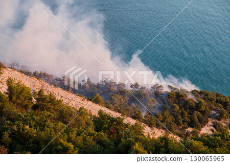 Fire smoke rising from forest near sea coast, natural disaster affecting environment and landscape 130065965