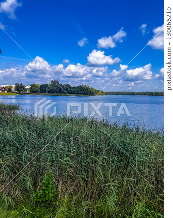 Peaceful lake landscape with tall green reeds, clear blue water, and clouds under a bright summer sky. High quality photo Peaceful lake landscape with tall green reeds, clear blue water, and clouds under a bright summer sky. High quality photo 130066210