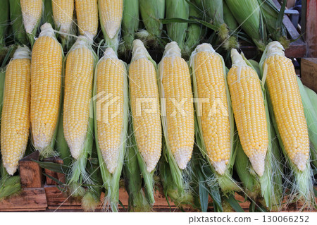 Cobs corn 130066252
