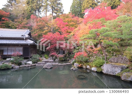 Higashiomi City, Shiga Prefecture, Autumn leaves at Baekje Temple 3, November 2024 Higashiomi City, Shiga Prefecture, Autumn leaves at Baekje Temple 3, November 2024 130066493