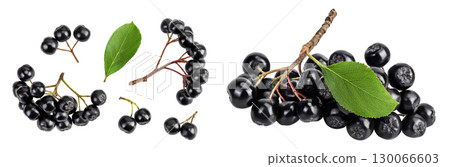 Chokeberry with leaf isolated on white background. Black aronia. Top view. Flat lay Chokeberry with leaf isolated on white background. Black aronia. Top view. Flat lay 130066603