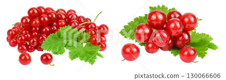 Red currant berries isolated on white background 130066606