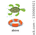 Preposition of place. Turtle ABOVE the lifebuoy 130066921