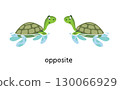 Preposition. Turtles are OPPOSITE each other 130066929