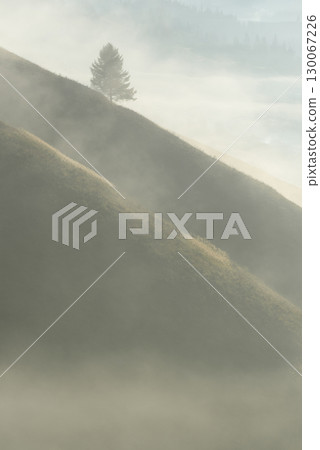 Misty Autumn Hills With Lone Tree And Copy Space Misty Autumn Hills With Lone Tree And Copy Space 130067226