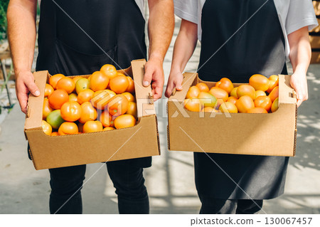 Two individuals holding cardboard boxes filled with fresh, ripe tomatoes, showcasing vibrant colors and textures, in a bright, airy space that emphasizes freshness of the produce and joy of harvest Two individuals holding cardboard boxes filled with fresh, ripe tomatoes, showcasing vibrant colors and textures, in a bright, airy space that emphasizes freshness of the produce and joy of harvest 130067457