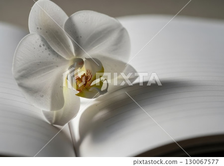 New Beginnings - Single Flower on Blank Notebook Page 130067577