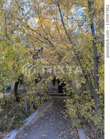 Autumn Pathway to a Forgotten Building Golden Leaves and Mystery Leading the Way 130067862