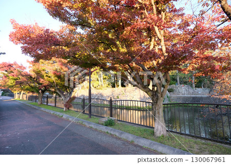 三重縣津市_津城遺址西側的紅葉_2024年11月4日 130067961