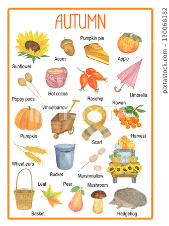 Autumn season topical English language vocabulary poster for educational purposes, pre-school, leisure activity, teacher resources illustration with fall theme clipart pumpkin, harvest, basket, plants 130068182