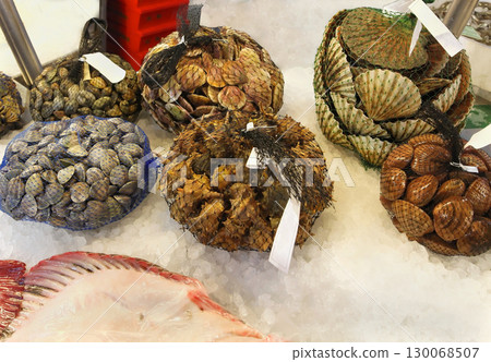 Seashells on ice 130068507