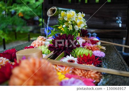 Flowers displayed at the Chozuya (purification fountain) of a temple in Kyoto Flowers displayed at the Chozuya (purification fountain) of a temple in Kyoto 130068917