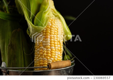 unhusked corn cob with fresh fibers on black background unhusked corn cob with fresh fibers on black background 130069557