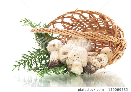 Seasonal natural champignon mushrooms in wicker basket Seasonal natural champignon mushrooms in wicker basket 130069583