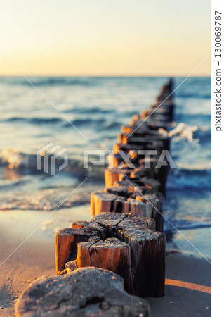 Wooden breakwater stretches into blue sea under soft evening light. Gentle waves touch sandy shore while sun reflects warmly on weathered timber posts and shimmering water 130069787