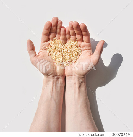 Caucasian adult hands holding rice grains in sunlight against white background 130070249