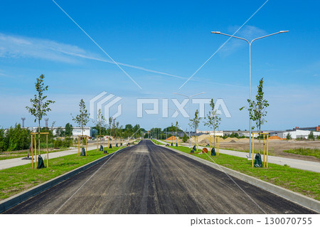 Newly paved urban road with young trees, sidewalks, and streetlights in modern infrastructure project 130070755