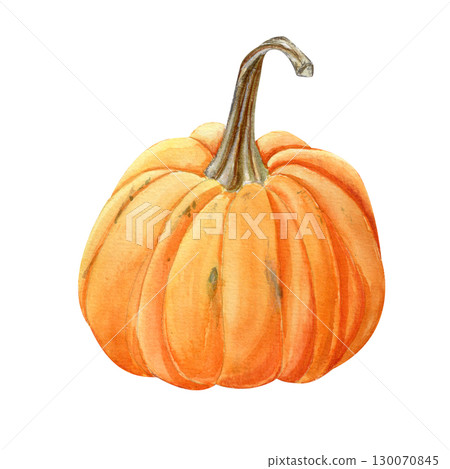 Watercolor hand drawn autumn illustration of an orange pumpkin. Harvest vegetable isolated Watercolor hand drawn autumn illustration of an orange pumpkin. Harvest vegetable isolated 130070845