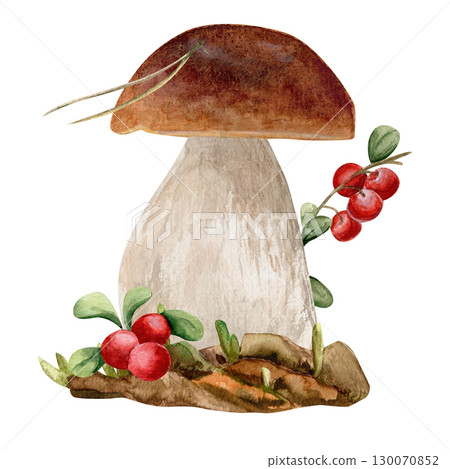 Watecrolor hand drawn white mushroom with berries, needle on the mushroom cap on a piece of earth with moss 130070852