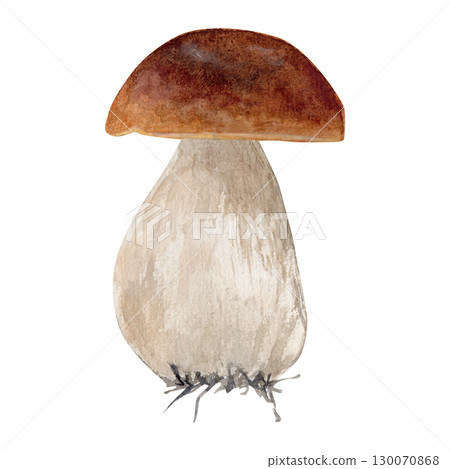 Watecrolor hand drawn white mushroom. The atrwork captures the natural texture and earthy tones of the mushroom. 130070868