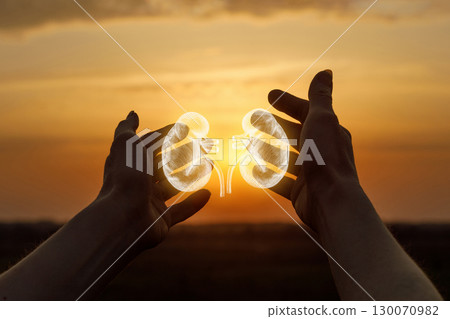 Hands cradling glowing kidneys against sunset sky. 130070982