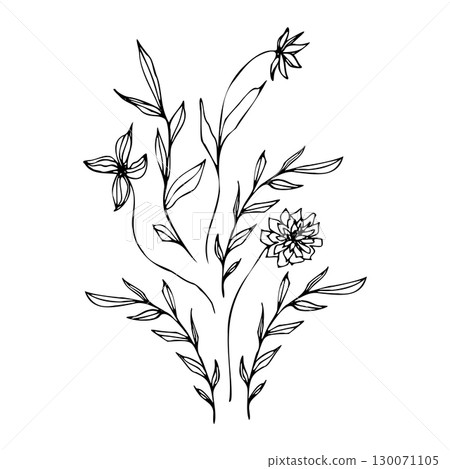Set of vector composition with flower, leaves and branch. Elegant art for decoration. ink hand drawing monochrome botanical illustration for backgrounds, wedding cards, polygraph, logo, tattoo. Set of vector composition with flower, leaves and branch. Elegant art for decoration. ink hand drawing monochrome botanical illustration for backgrounds, wedding cards, polygraph, logo, tattoo. 130071105