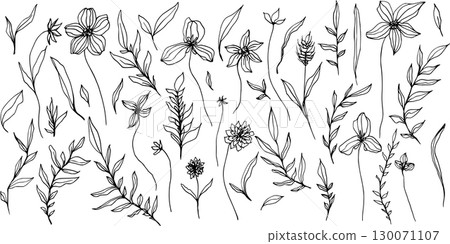 Set of vector composition with flower, leaves and branch. Elegant art for decoration. ink hand drawing monochrome botanical illustration for backgrounds, wedding cards, polygraph, logo, tattoo. Set of vector composition with flower, leaves and branch. Elegant art for decoration. ink hand drawing monochrome botanical illustration for backgrounds, wedding cards, polygraph, logo, tattoo. 130071107