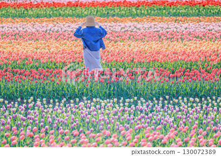 Enjoy spring in the tulip fields of Kamiyubetsu, Hokkaido Enjoy spring in the tulip fields of Kamiyubetsu, Hokkaido 130072389
