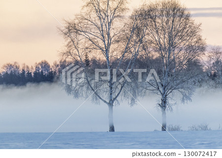 Rime and air storm 130072417