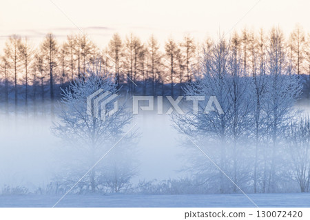 霜和空中風暴 130072420