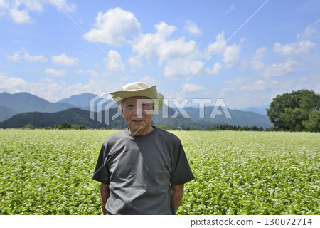 An old man strolling through a buckwheat field 130072714