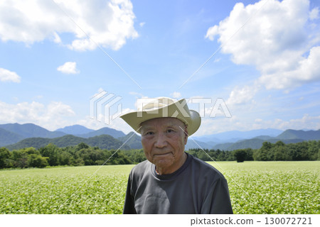 An old man strolling through a buckwheat field An old man strolling through a buckwheat field 130072721