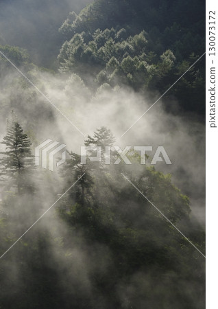 Morning in Rokugo, Nakanojo Town, Gunma Prefecture - Mysterious forest scenery woven with fog and light Morning in Rokugo, Nakanojo Town, Gunma Prefecture - Mysterious forest scenery woven with fog and light 130073172