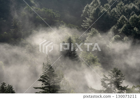 Morning in Rokugo, Nakanojo Town, Gunma Prefecture - Mysterious forest scenery woven with fog and light 130073211