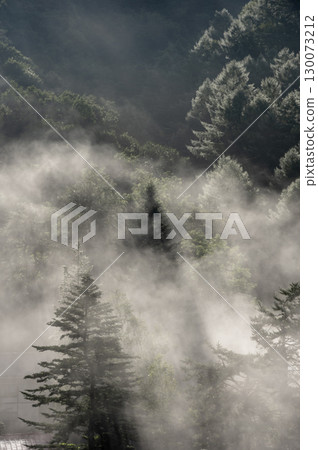 Morning in Rokugo, Nakanojo Town, Gunma Prefecture - Mysterious forest scenery woven with fog and light Morning in Rokugo, Nakanojo Town, Gunma Prefecture - Mysterious forest scenery woven with fog and light 130073212