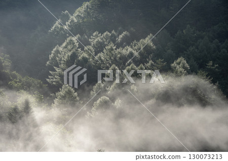 Morning in Rokugo, Nakanojo Town, Gunma Prefecture - Mysterious forest scenery woven with fog and light 130073213