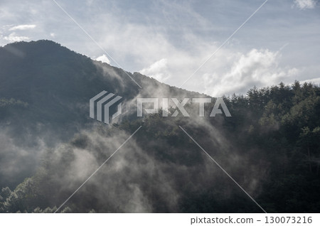 群馬縣中之條町六鄉的早晨 - 霧與光交織的神秘森林風景 群馬縣中之條町六鄉的早晨 - 霧與光交織的神秘森林風景 130073216