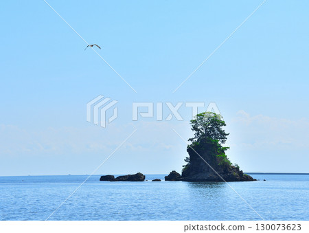 夏季漂浮在海面上的岩石 130073623