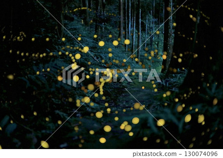 The Trail of Princess Firefly 130074096