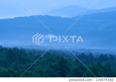 A distant view of the forest before dawn A distant view of the forest before dawn 130074388