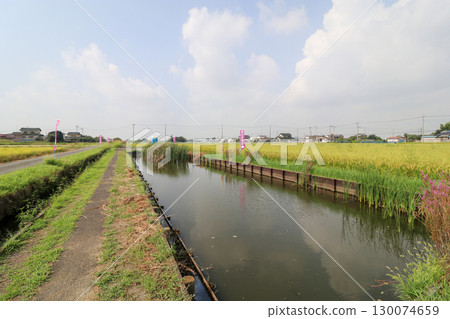 Water Lily Village Water Lily Village 130074659