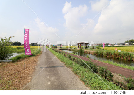 睡蓮村 睡蓮村 130074661