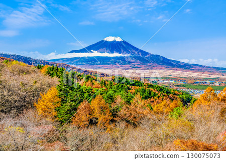 從山梨縣二重曲山口眺望秋天色彩斑斕的富士山 130075073