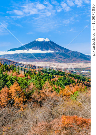 從山梨縣二重曲山口眺望秋天色彩斑斕的富士山 從山梨縣二重曲山口眺望秋天色彩斑斕的富士山 130075080