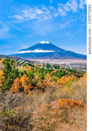 Mount Fuji seen from Nijumagari Pass in autumn colors in Yamanashi Mount Fuji seen from Nijumagari Pass in autumn colors in Yamanashi 130075082