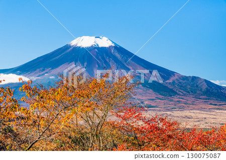 Mount Fuji seen from Nijumagari Pass in autumn colors in Yamanashi 130075087