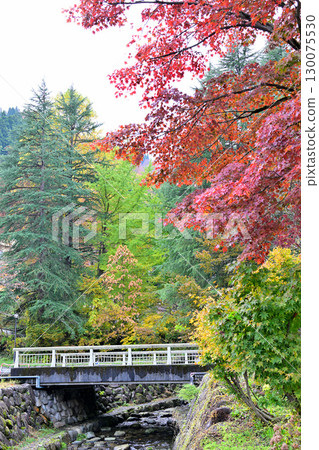 Echigo Yuzawa Onsen Town, Takizawa Park Promenade, Autumn Foliage Season Echigo Yuzawa Onsen Town, Takizawa Park Promenade, Autumn Foliage Season 130075530