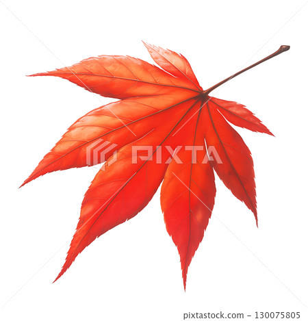 秋葉的水彩插圖 130075805